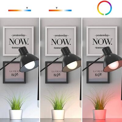 Lampadina LED WiFi intelligente Avidsen - Controllo vocale e colore Lampadina LED WiFi intelligente Avidsen - Controllo vocale e colore