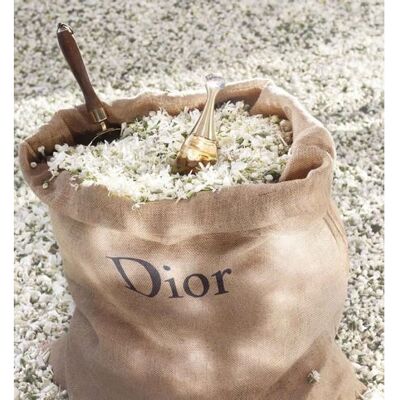Dior J'adore Eau de Parfum - Roller-Pearl (20ml) Dior J'adore Eau de Parfum - Roller-Pearl (20ml)