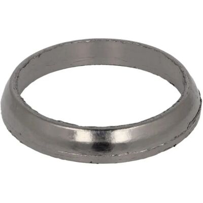 Guarnizione tubo di scarico Bosal - 256-325 - Sostituzione tubo di scarico Guarnizione tubo di scarico Bosal - 256-325 - Sostituzione tubo di scarico