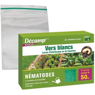 Décamp Nématodes contre otiorhynques 25 millions - Contrôle biologique - Publicité Décamp Nématodes contre otiorhynques 25 millions - Contrôle biologique - Publicité