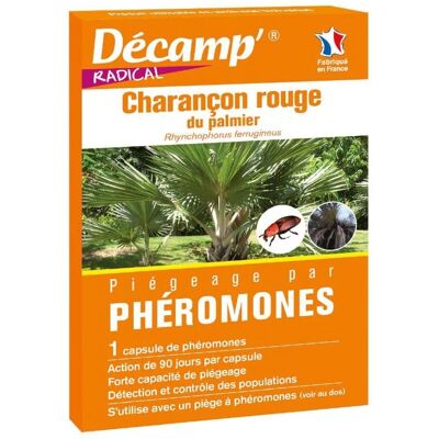 Décamp' - Phéromone contre le charançon rouge du palmier - Detection - Publicité Décamp' - Phéromone contre le charançon rouge du palmier - Detection - Publicité
