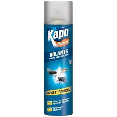 Sinto Brunel Insecticide Aérosol - Insectes volants - 400ml - Publicité Sinto Brunel Insecticide Aérosol - Insectes volants - 400ml - Publicité