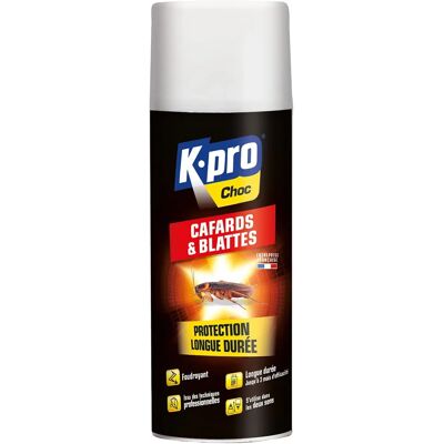 Aérosol Kapo contre blattes et cafards 400 ml - Publicité Aérosol Kapo contre blattes et cafards 400 ml - Publicité