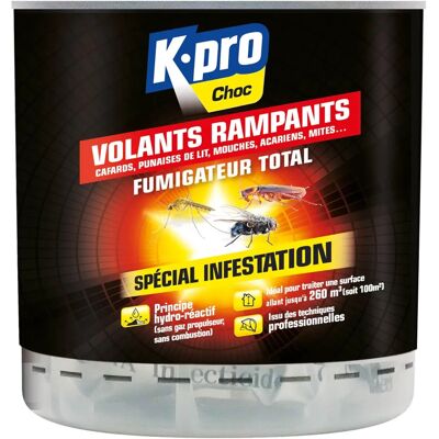 Insecticide Kapo - 0,34L - Spray Total Insectes - Publicité Insecticide Kapo - 0,34L - Spray Total Insectes - Publicité