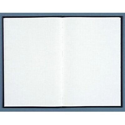 LE DAUPHIN 297X210 Cahier - 400 pages - Couverture en toile - Publicité LE DAUPHIN 297X210 Cahier - 400 pages - Couverture en toile - Publicité