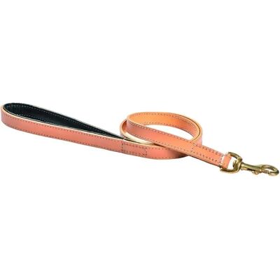 Unbranded G1703 Lederleine für Hunde - Hundeleine Unbranded G1703 Lederleine für Hunde - Hundeleine