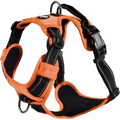 Bobby Rando Walk - Harnais et Laisse pour Chien - Orange - Publicité Bobby Rando Walk - Harnais et Laisse pour Chien - Orange - Publicité