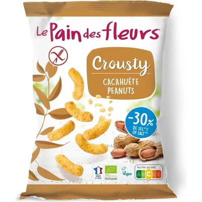 Le Pain des Fleurs Ganchitos de Cacahuete Orgánico - Snack Le Pain des Fleurs Ganchitos de Cacahuete Orgánico - Snack