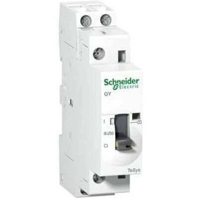 Schneider Electric GY2520M5 Kontaktor - 2-polig, 25A, 220-240V Spule Schneider Electric GY2520M5 Kontaktor - 2-polig, 25A, 220-240V Spule