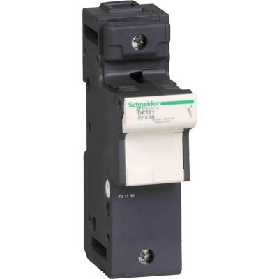 Schneider Electric DF22 Trennschalter - 1P, 125A, Kompakt Schneider Electric DF22 Trennschalter - 1P, 125A, Kompakt