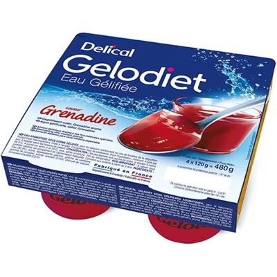 Delical Gelodiet Eau Gélifiée - Slokhulp - 4 x 120 g Delical Gelodiet Eau Gélifiée - Slokhulp - 4 x 120 g