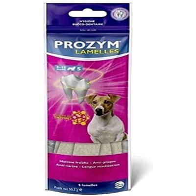 Biscuits Dentaires Prozym pour Chien - Mini 5-15kg - Santé Bucco-Dentaire - Publicité Biscuits Dentaires Prozym pour Chien - Mini 5-15kg - Santé Bucco-Dentaire - Publicité