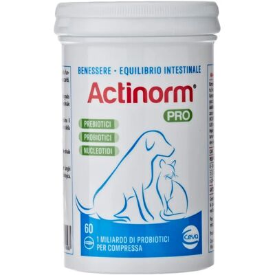 Ceva Salute Animale Spa Actinorm Pro 60 Comprimés - Support digestif pour chiens et chats - Publicité Ceva Salute Animale Spa Actinorm Pro 60 Comprimés - Support digestif pour chiens et chats - Publicité