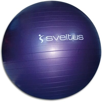 Sveltus Gymbal Paars Ø 75 cm - Fitnessapparaat Sveltus Gymbal Paars Ø 75 cm - Fitnessapparaat