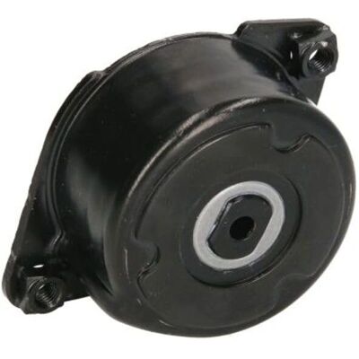 SNR GA350.52 Spannrolle & Führung für Keilrippenriemen - Timing Belt SNR GA350.52 Spannrolle & Führung für Keilrippenriemen - Timing Belt