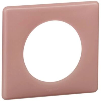 Legrand 066761 Plaque Murale Rose Ancien - Couverture d'Interrupteur - Publicité Legrand 066761 Plaque Murale Rose Ancien - Couverture d'Interrupteur - Publicité