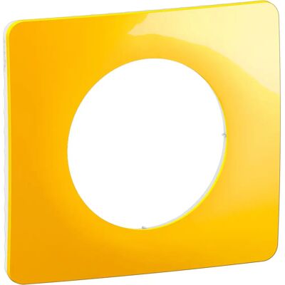 Legrand CP0421 Copertura parete/interruttore Giallo - Copertura interruttore Legrand CP0421 Copertura parete/interruttore Giallo - Copertura interruttore