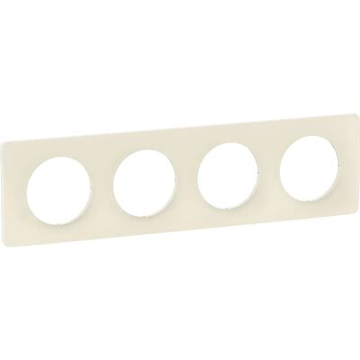 Legrand CP1124 Wall Plate - Modern, Customizable - Wall Plate Legrand CP1124 Wall Plate - Modern, Customizable - Wall Plate