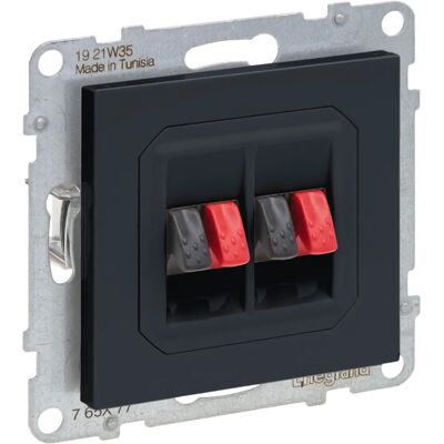 Legrand Modell 765477 Lautsprecher-Anschluss - Anthrazit - Sicher Legrand Modell 765477 Lautsprecher-Anschluss - Anthrazit - Sicher