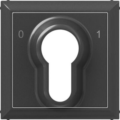 Legrand SEANO Capotage pour interrupteur à clé 0–1 avec DIN demi-cylindre, Bouton + interrupteur, Gris - Publicité Legrand SEANO Capotage pour interrupteur à clé 0–1 avec DIN demi-cylindre, Bouton + interrupteur, Gris - Publicité