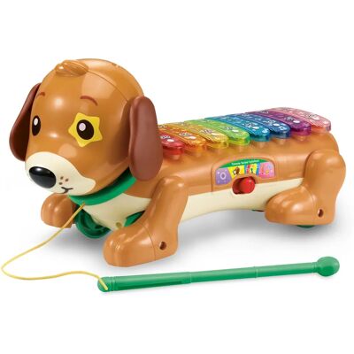 VTech Timmie Teckel Xylofoon - Muziek speelgoed VTech Timmie Teckel Xylofoon - Muziek speelgoed