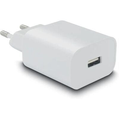 adaptateur mural MOOOV 733054 - Chargeur adaptateur mural MOOOV 733054 - Chargeur