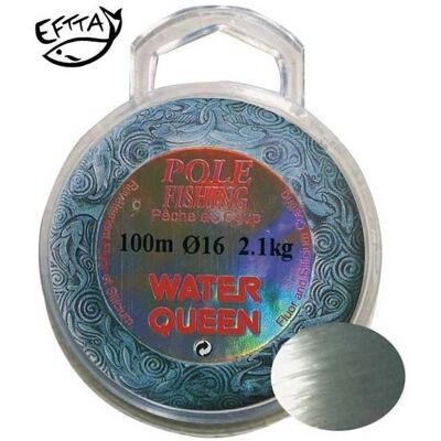 Hilo Monofilamento Ragot 100M Blanco 0.080mm Hilo Monofilamento Ragot 100M Blanco 0.080mm