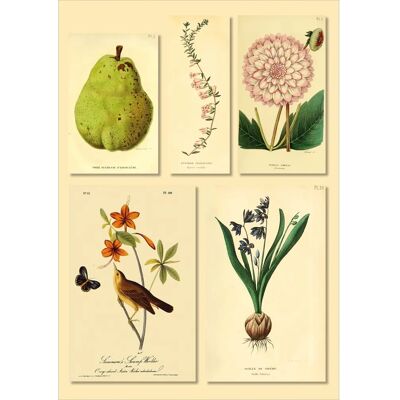 Beżowa Naklejka Ścienna Botaniczna - 68x48cm - Nowoczesna Dekoracja Beżowa Naklejka Ścienna Botaniczna - 68x48cm - Nowoczesna Dekoracja
