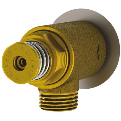 DELABIE Rubinetto termostatico in acciaio inox - Modello 15x21 - Risparmio idrico, Spegnimento automatico DELABIE Rubinetto termostatico in acciaio inox - Modello 15x21 - Risparmio idrico, Spegnimento automatico
