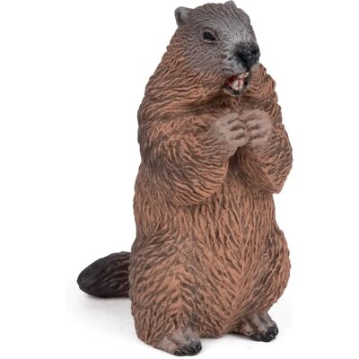Marmotte Papo Marmotte Papo