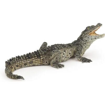 Papo Baby-Krokodil Papo Baby-Krokodil