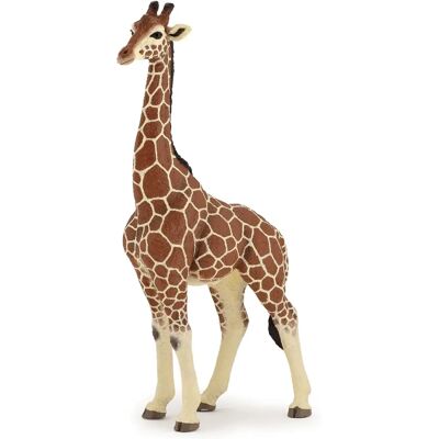 Papo Männliche Giraffe Papo Männliche Giraffe