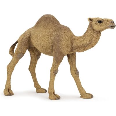 Papo Dromedary Tierfigur - 15 cm Spielzeug - Wild Camel Dromedary Papo Dromedary Tierfigur - 15 cm Spielzeug - Wild Camel Dromedary