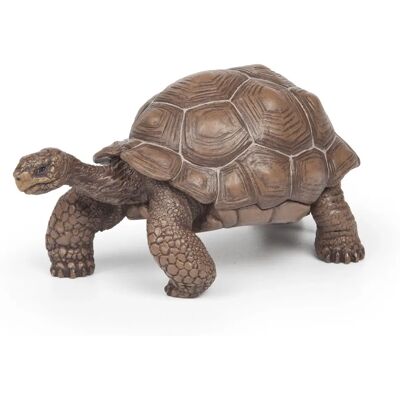 Papo Galápagos-Schildkröte Papo Galápagos-Schildkröte