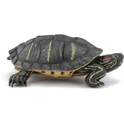 Papo Florida-Schildkröte - Sammlerfigur Papo Florida-Schildkröte - Sammlerfigur
