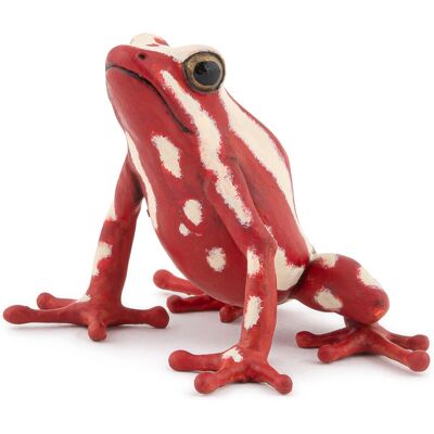 PAPO - Grenouille venimeuse peinte à la main - Animaux de forêt tropicale - Collection - Pour enfants - Garçons et filles - À partir de 3 ans PAPO - Grenouille venimeuse peinte à la main - Animaux de forêt tropicale - Collection - Pour enfants - Garçons et filles - À partir de 3 ans