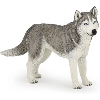 Papo Sibirischer Husky (54035) Papo Sibirischer Husky (54035)