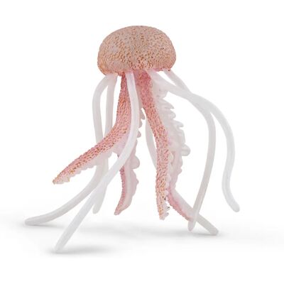 Papo 56018 Sammelfigur Meeresbewohner - Realistisch & Detailliert - Lehrspielzeug - Marine-Thema Geschenk Papo 56018 Sammelfigur Meeresbewohner - Realistisch & Detailliert - Lehrspielzeug - Marine-Thema Geschenk