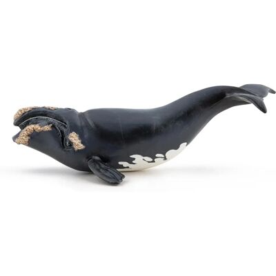 Figurine de jouet de la baleine à bosse de Marine Life Papo - 56057 Figurine de jouet de la baleine à bosse de Marine Life Papo - 56057