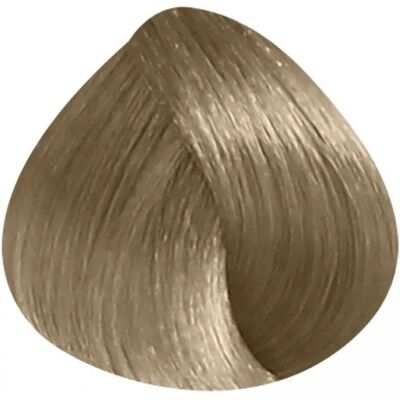 L'Oréal Professionnel Model 9.2 Iridescent Blonde - Haarfarbe L'Oréal Professionnel Model 9.2 Iridescent Blonde - Haarfarbe