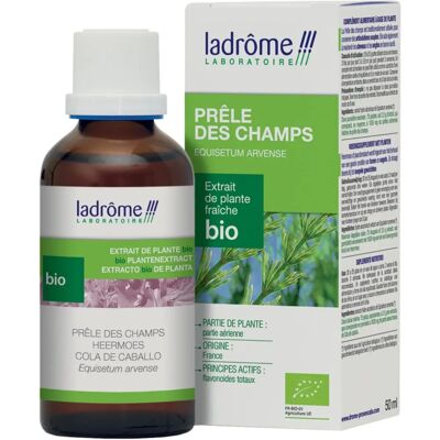 Ladrôme Prêle des Champs Bio - Silice & Détox - 50ml Extrait de Plante - Publicité Ladrôme Prêle des Champs Bio - Silice & Détox - 50ml Extrait de Plante - Publicité