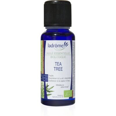 Aceite esencial de árbol de té orgánico Ladrome - 15 ml Aceite esencial de árbol de té orgánico Ladrome - 15 ml