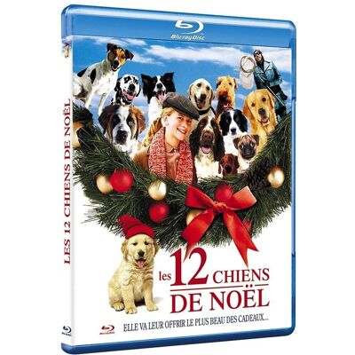 Kieth Merrill 12 Hunde zu Weihnachten - DVD - FR Import Kieth Merrill 12 Hunde zu Weihnachten - DVD - FR Import