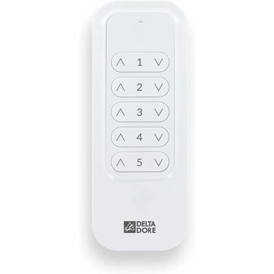 Control Remoto Delta Dore - 5 Canales - Interior Control Remoto Delta Dore - 5 Canales - Interior