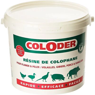 Saniterpen Coloder - Résine de colophane en poudre - 3,5 kg pour volailles et gibier - Publicité Saniterpen Coloder - Résine de colophane en poudre - 3,5 kg pour volailles et gibier - Publicité