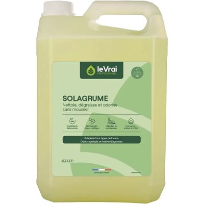 Le Vrai Professionnel - Bio Ménage Agrumes - 5 L - Nettoyant multi-usages - Publicité Le Vrai Professionnel - Bio Ménage Agrumes - 5 L - Nettoyant multi-usages - Publicité