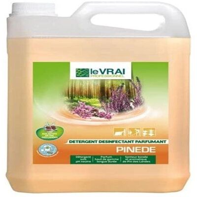 Le Vrai Professionnel Détergent Pinewood 5L - Nettoyant pour surfaces - Publicité Le Vrai Professionnel Détergent Pinewood 5L - Nettoyant pour surfaces - Publicité
