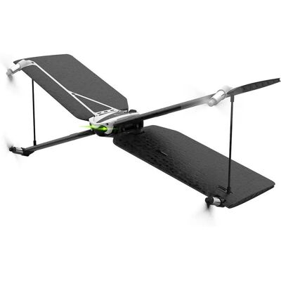 Parrot Swing Parrot Swing
