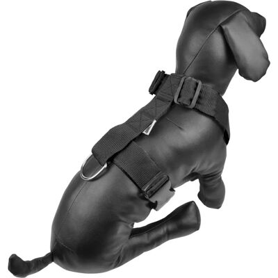 AUCUNE - HNR70-90x40 - 70-90 cm - 40 mm - Harness - Publicité AUCUNE - HNR70-90x40 - 70-90 cm - 40 mm - Harness - Publicité