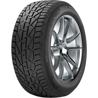 Taurus Winter 215/50 R18 92V - Schneetraktion Reifen Taurus Winter 215/50 R18 92V - Schneetraktion Reifen